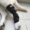 thumbnail image 4 of Billuyoard Dog Hock Brace Pet Supporting Rear Dog Compression Leg Joint Wrap protege heridas y lesiones Ropa para mascotas talla M Billuyoard PT001495-01, 4 of 6