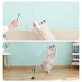 thumbnail image 6 of TSV 9pcs Suction Cup Cat Toys Set, Flexible Cat Wand Toys for Teaser Play, 6 of 7