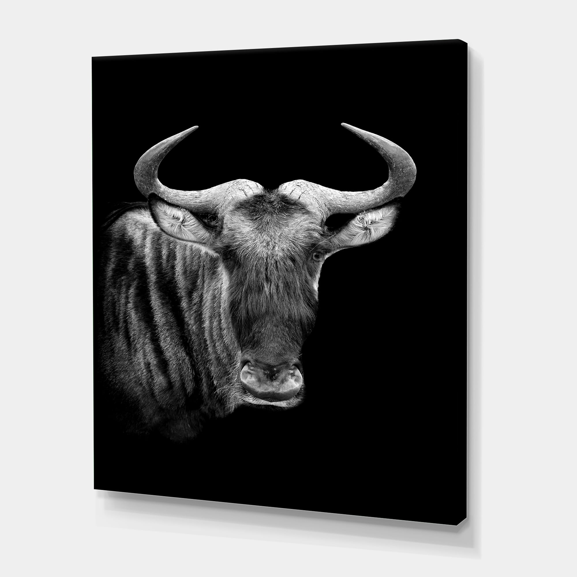 Designart ' Black and White Portrait Of Wildebeest ' Farmhouse Canvas Wall Art Print