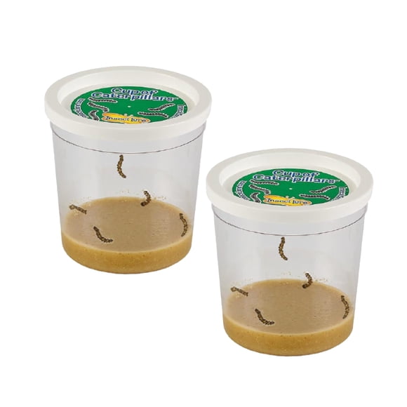 Insect Lore 2 vasos de orugas con alimento, 10 piezas