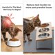 thumbnail image 2 of Cuencos elevados para gatos Summark mejorados, inclinados 15° con tapete para comida, 2 of 7