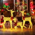 thumbnail image 3 of Zimtown Outdoor Christmas  3-Piece Lighted Reindeer Set 2-D for Outdoor Yard Decor LED Lights, Golden, 3 of 7