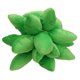 thumbnail image 5 of Almohada de suculentas de imitación, almohada de tiro suculenta, lindo juguete de peluche con forma de planta, decoración del hogar, 17,7 pulgadas, verde hierba, 5 of 5