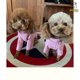 thumbnail image 4 of Ropa Para Perros Otoño E Invierno pomeranian Peluche Cachorros Pequeños Y Medianos Suministros Para Mascotas Para Gatos, 4 of 4