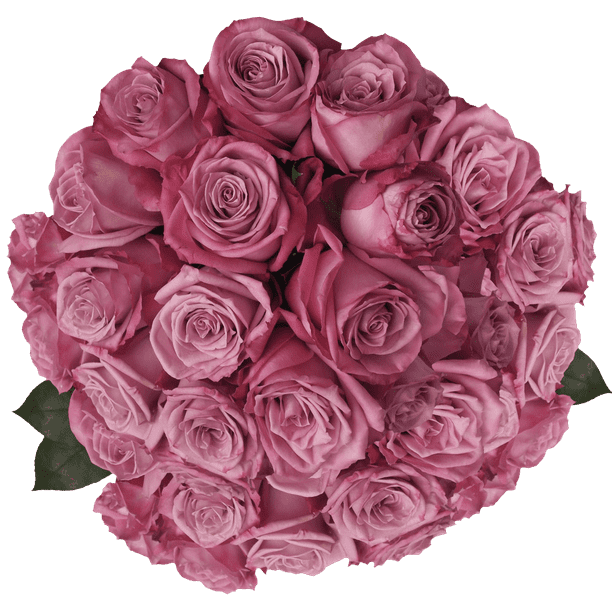 75 Stems of Moody Roses- Fresh Flower Delivery - Walmart.com - Walmart.com