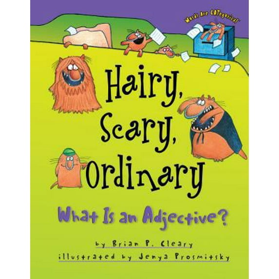 Pre-Owned Hairy, Scary, Ordinary: What Is an Adjective? (Hardcover) 1575054019 9781575054018