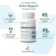 Puregen Labs Kidney-Vite | Premier Kidney, Renal Support | Non-GMO, Gluten-Free, No Artificial Color Additives - 100 Vegetarian Tablets