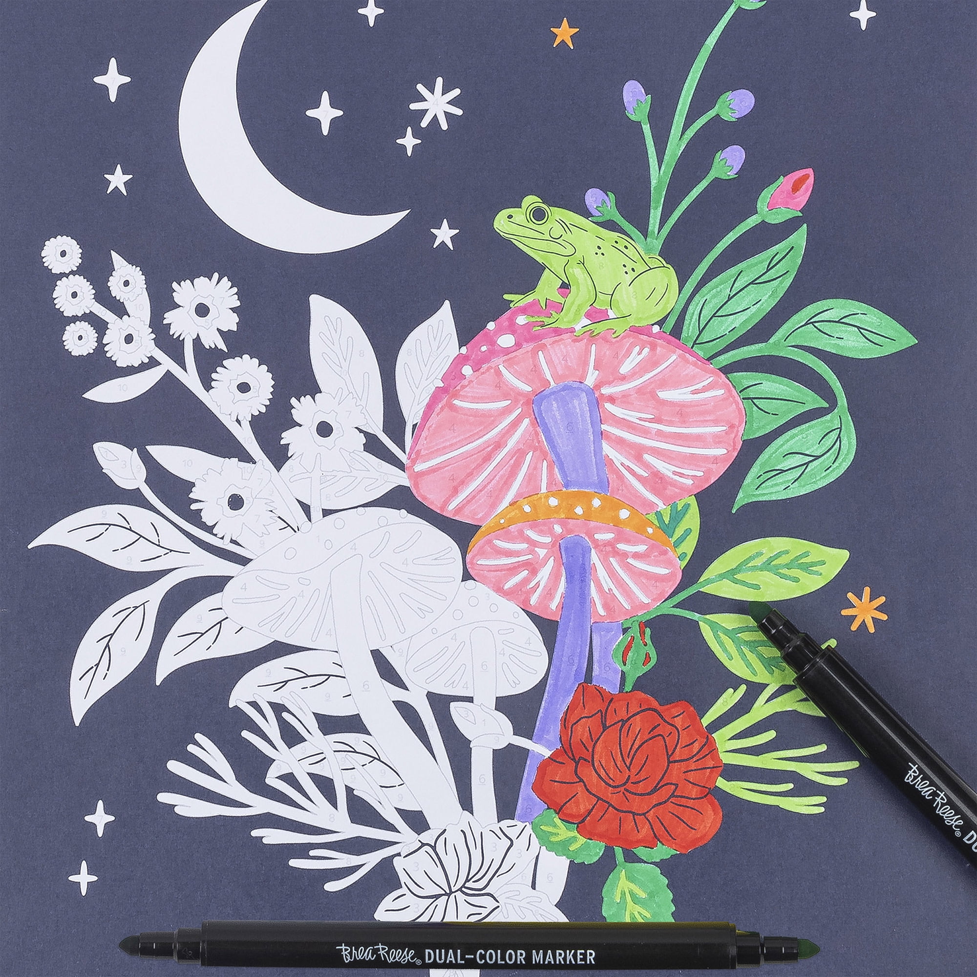 Brea Reese: Marker Color-by-Number Kit - Whimsical Botanicals - 5 Dual-Tip Markers, 12 Designs, Guided Art, 8.5 x 9.75" Pages, Adult Spiral Art Pad