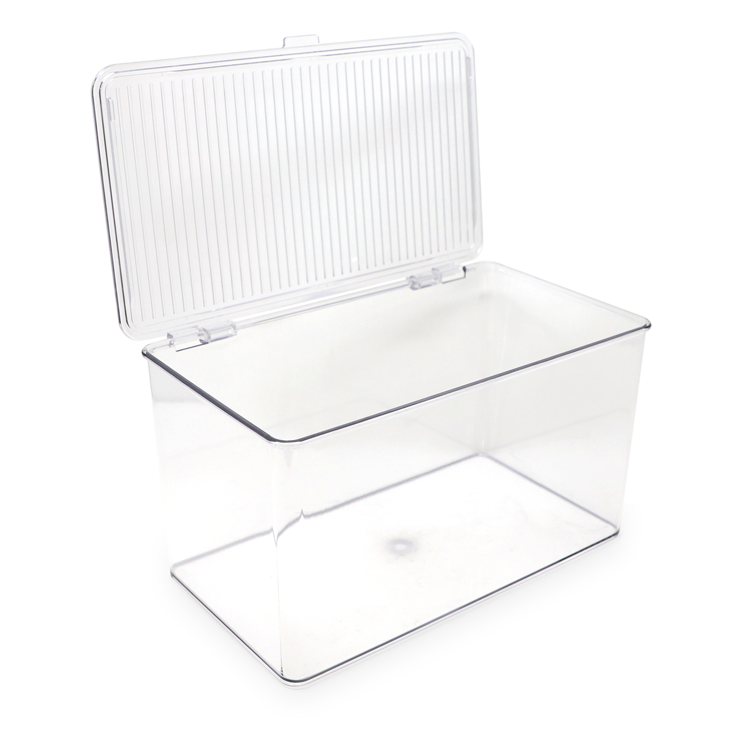 Isaac Jacobs Clear Hinged Storage Container Set, Large, 2-Pack