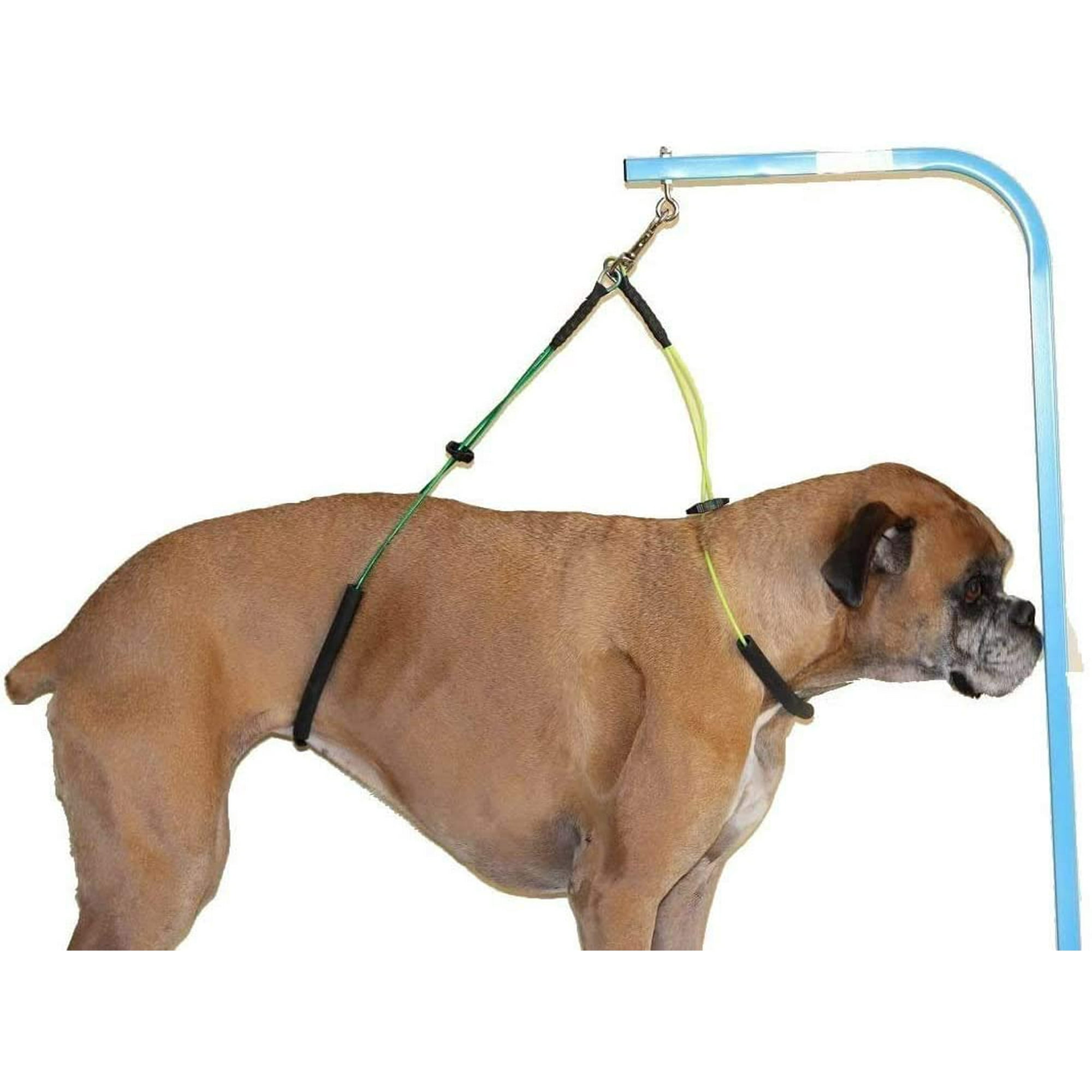 Dog grooming leash holder 2025