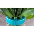 thumbnail image 2 of Blue 6 Pack Plastic Mason Jar Flower Frog Lids - Flower Arrangement Lid, 2 of 3