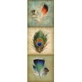 thumbnail image 2 of Goldberger, Jennifer 7x14 White Modern Wood Framed Museum Art Print Titled - 2-Up Feather Triptych I, 2 of 4