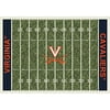 College Home Field Virginia Area Rug-Color:Home Field,Material:Nylon,Size:10'9"x13'2",Style:Virginia