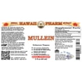 thumbnail image 2 of Mullein (Verbascum Thapsus) Dry Flower Liquid Extract. Expertly Extracted by Trusted HawaiiPharm Brand. Absolutely Natural. Proudly made in USA. Tincture 2 Fl.Oz, 2 of 3
