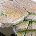 thumbnail image 3 of Penn-Plax Reptology Shale Scape Step Ledge & Cave Hideout for Reptiles – Large, 3 of 7