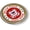 Semi-Flexible Aluminum Bezel, variant on BestLicensePlateFrames United States Coast Guard 3D Domed Car Emblem Badge Sticker Chrome Plastic Round Bezel (r)