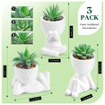 thumbnail image 2 of Set de plantas suculentas artificiales de 3 piezas con macetas para decoración del hogar, 2 of 6