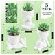 thumbnail image 2 of Set de plantas suculentas artificiales de 3 piezas con macetas para decoración del hogar, 2 of 6