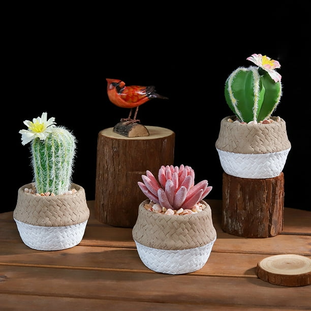 Plantas suculentas artificiales con macetas Mini maceta de forma redonda Cactus Plástico Plantas verdes falsas Decoración para jardín, mesa, balcón, oficina XianweiShao 8390605431081