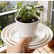thumbnail image 4 of Deep Thickened Plastic Saucers Multiple Sizes Round Flower Pot Trays For Indoor Outdoor Gardening Water Drip Catcher For Potted Plants, 4 of 5