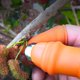 thumbnail image 2 of Juego De Fundas Para Dedos Con Cortador De Pulgar, Herramienta De Recolección Para Cosecha De Plantas, Jardinería, Fruta, Verdura Advancent HA038301-00, 2 of 6