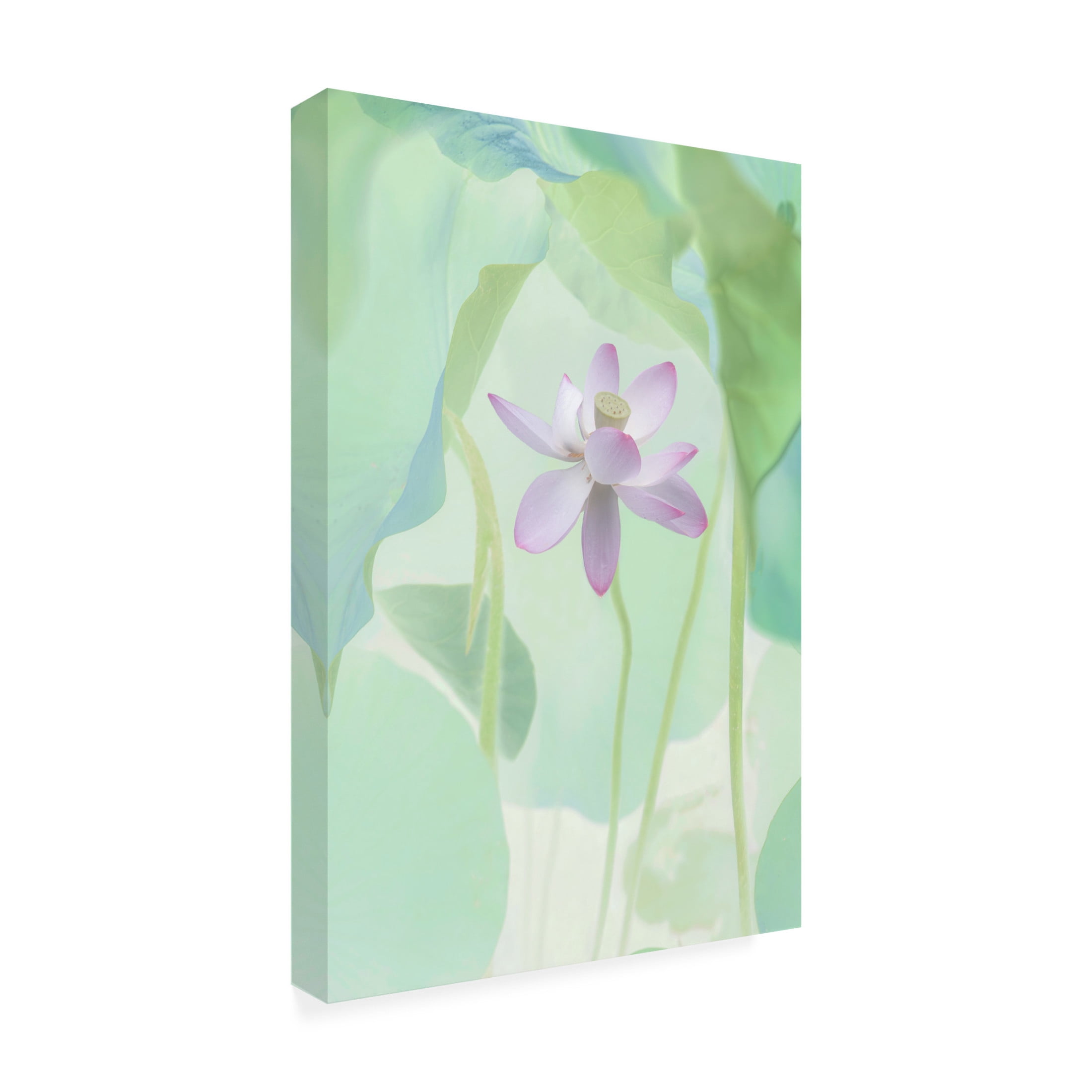 Canvas Wall Art - Binbin L. 'Lotus Flower' Wall Art for Living Room, Bedroom, or Office Décor by Trademark Fine Art - 16 x 24 Inches
