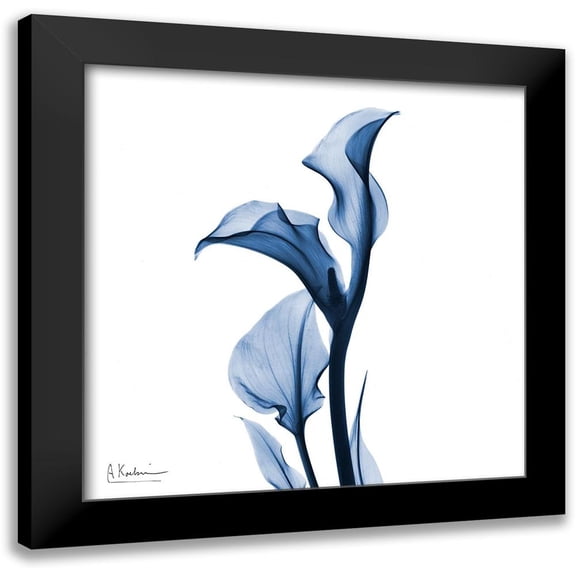 Koetsier, Albert 12x12 Black Modern Framed Museum Art Print Titled - Indigo Covered Calla Lily