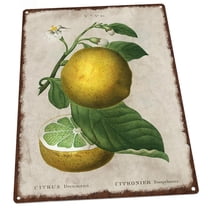 Lemon Vintage Illustration 9"x12" Metal Sign, Wall Decor for Porch, Patio, or Deck