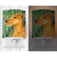 thumbnail image 2 of Carolines Treasures SS1004CNL Irish Terrier Ceramic Night Light, 2 of 2