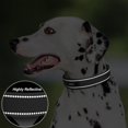 thumbnail image 4 of Collar de perro PetiFine, resistente y ajustable para perros de talla XL, 4 of 7