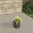 thumbnail image 4 of LeisureMod Meadow Fiberstone and MGO Clay Planter, Mid-Century Modern Round Planter Pot for Indoor and Outdoor (Black, 11 Inch), 4 of 8