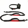 thumbnail image 2 of Training Dog Leash - Training Dog to Walk on a Leash, 2 of 10