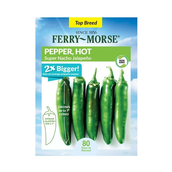 Ferry-Morse 100MG Pepper Super Nacho F1 Annual Vegetable Seeds, Full Sun