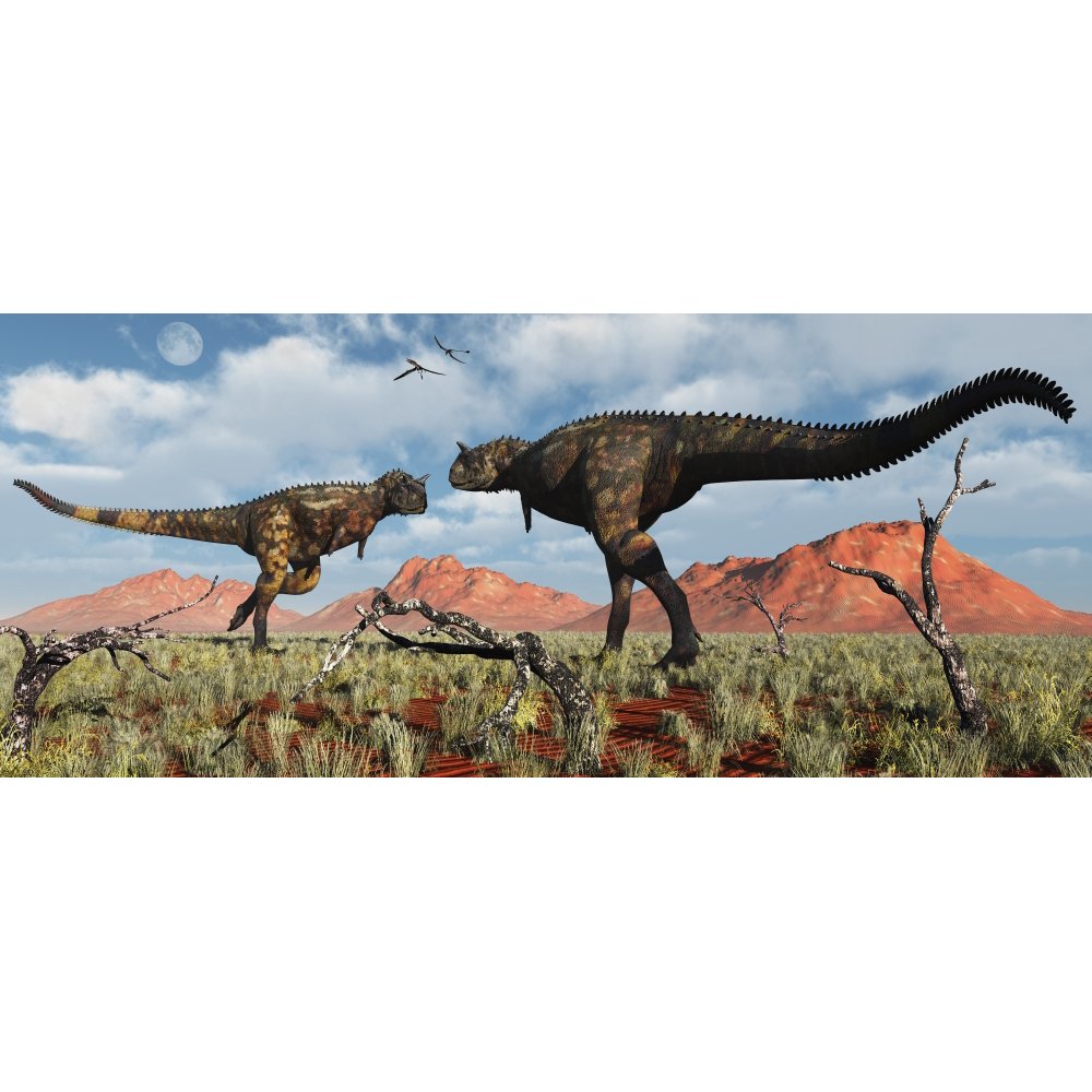 A pair of carnivorous Carnotaurus dinosaurs involved in a territorial dispute Poster Print (43 x