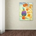 thumbnail image 3 of Trademark Fine Art 'Pheasant' Canvas Art by Michelle Campbell, 3 of 3