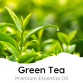 thumbnail image 2 of Ambientador para coche Air Jungles, aroma a té verde, 4 ml, 6 clips, 2 of 7