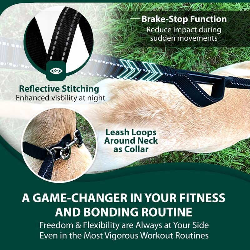 Sporn Run-Together Jogging Belt and Dog Leash, 6 ft, Black