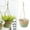 Green, variant on Flowerpots with Dish Ceramic, Flower Pot Hanging Cattail Plant Basket Hanging Basket Handwoven Plant Flower Pot Hanging Pot Basket Natural Plant Basket Hanging Basket Plant Basket, Flower Pots