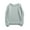 Light Grey, variant on comerut Women Men Sweatshirt Round Neck Solid Color Long Sleeves Pullover Thicken Warm Plush Casual Korean Style Autumn Sweatshirt for Daily Wear