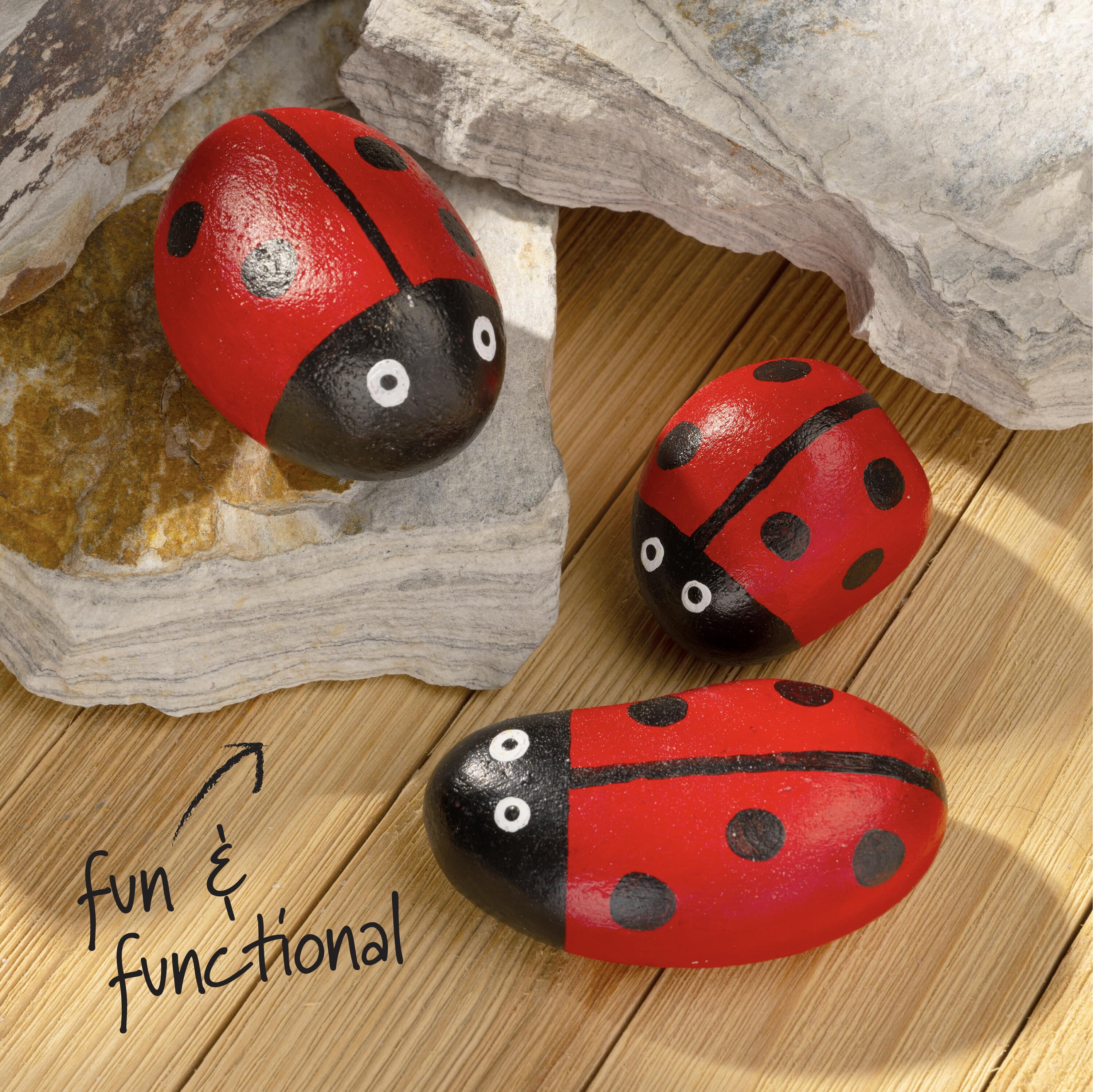 (2 pack) Plaid Surfaces Craft Rocks for Rock Painting Arts and Crafts Projects, Set of 6