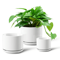 FOUKUS Set of 3 Ceramic Plant Pots: 4.5/5.3/6.5 inch Indoor Planters with Drainage Hole & Saucer, Outdoor Flower Pots, White
