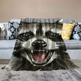thumbnail image 2 of Creowell Throw Blankets for Sofa Couch Fluffy Cozy Flannel Travel Outdoor Blanket, Summer Desk Blanket for Work Chair, Lap Blanket &amp; Pet Blanket, Home Decor- Cartoon Cute Raccoon 60x80in, 2 of 6