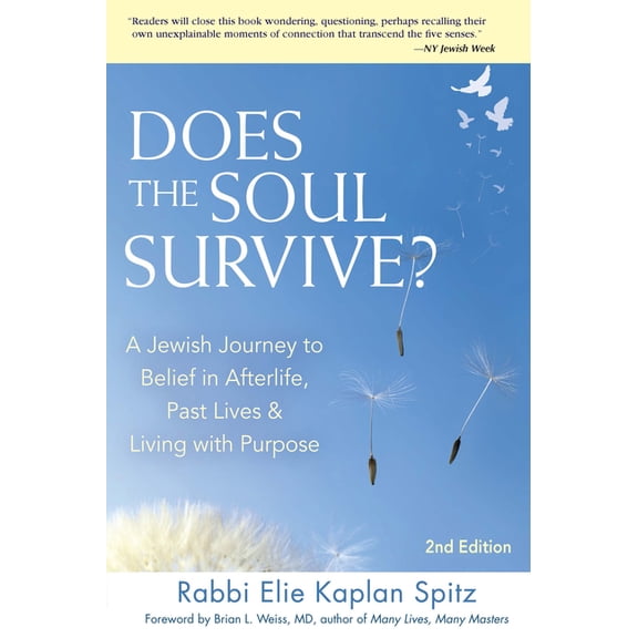 Does the Soul Survive? 2/E: A Jewish Journey to Belief in Afterlife, Past Lives & Living with Purpose (Edition, New)