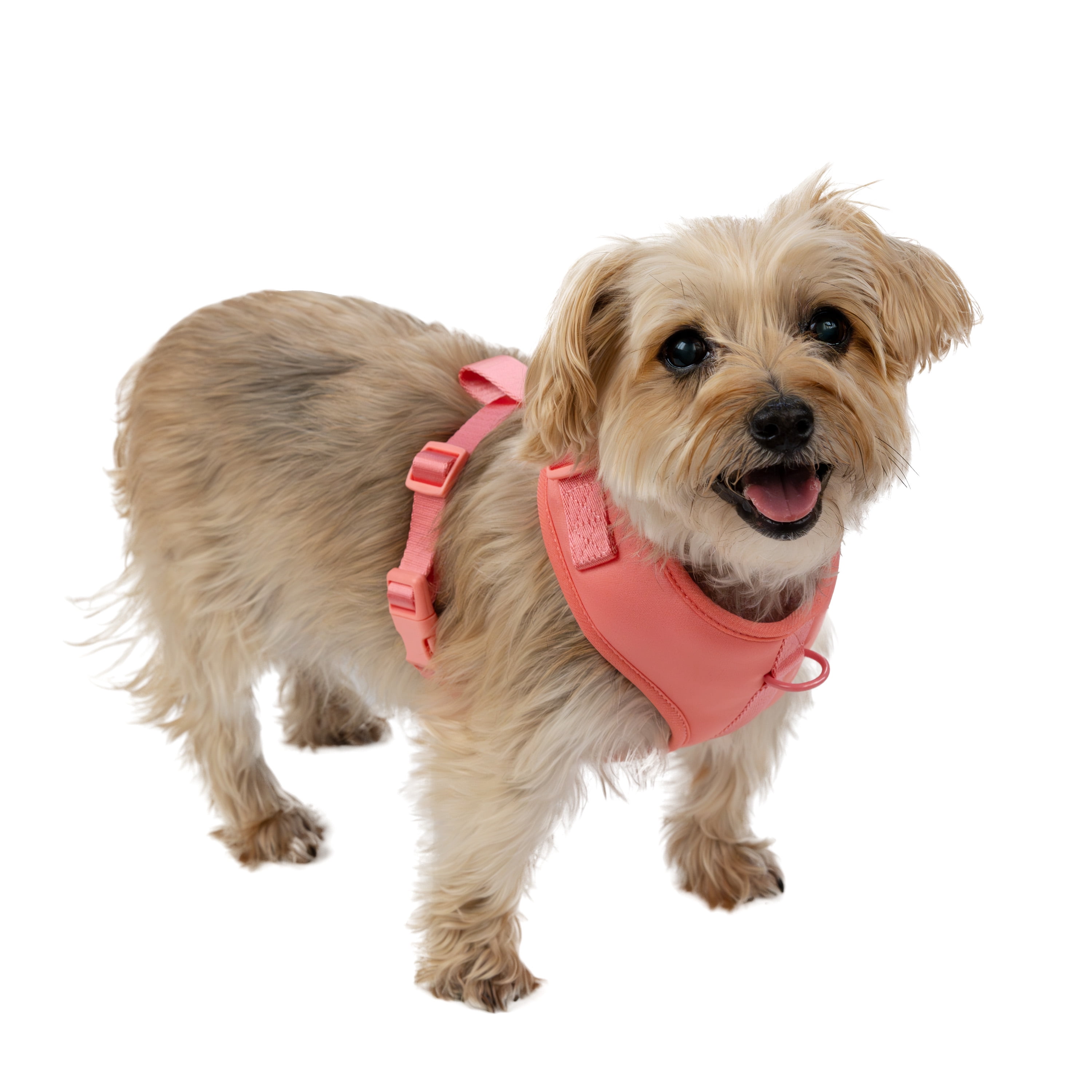 Vibrant Life Polyester & Spandex Adjustable Dog Harness, Pink, Small