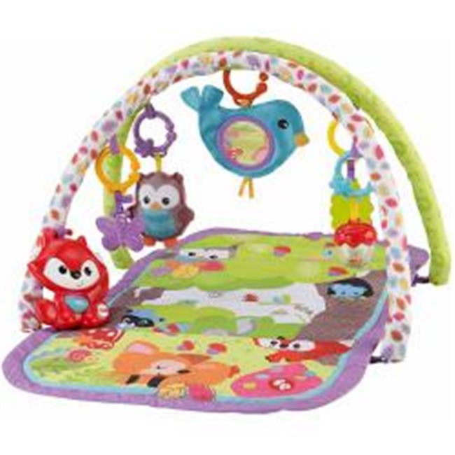 gym baby fisher price