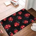 thumbnail image 5 of Fotbe Extra Durable Door Mat - Dirt Trapping Outdoor Welcome Mats - Non-Slip Outdoor Door Mats - Low Profile Front Door Mat - Indoor (16" x 24", Beautiful Red Ladybug ), 5 of 9