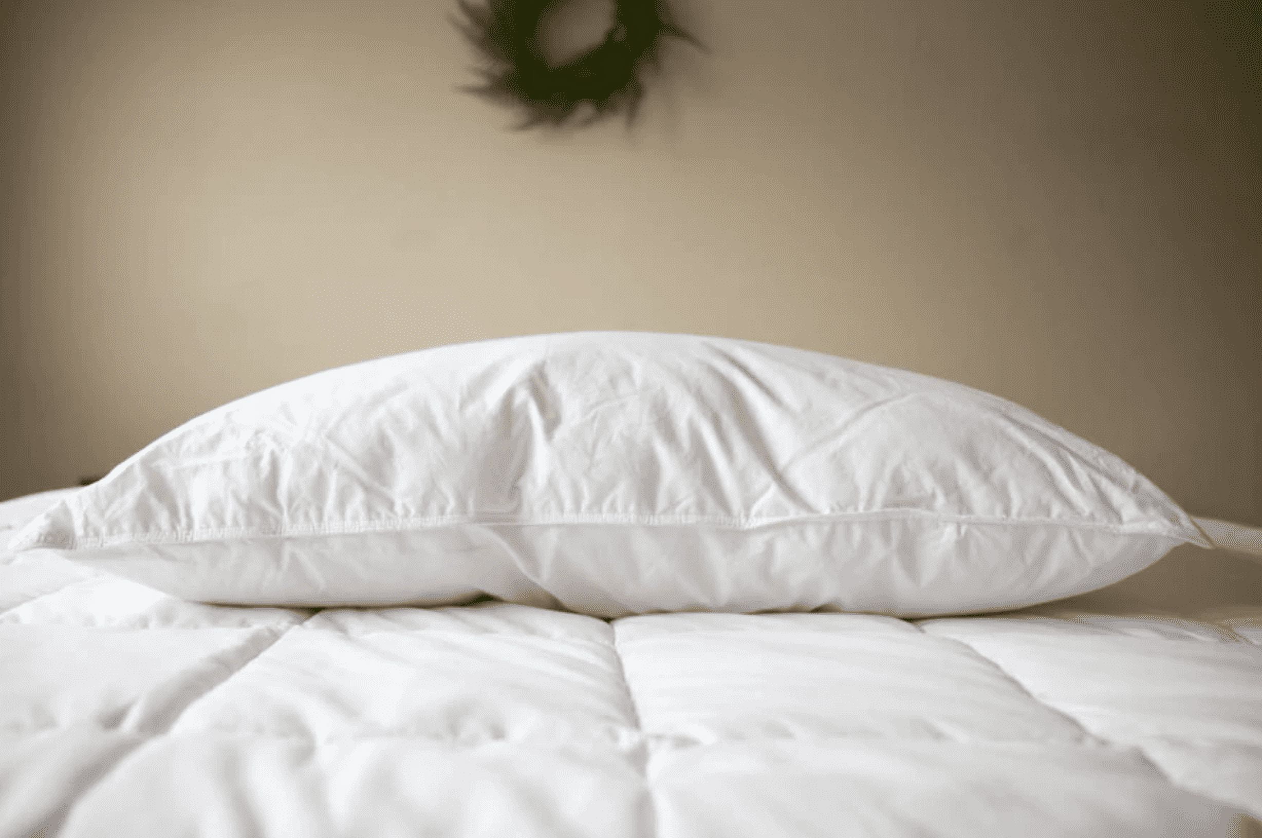 Pillowtex ® 95% White Duck Feathers 5% White Duck Down King Size Pillow (2 Pillow Set)