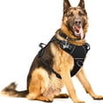 thumbnail image 1 of Arnés para perros WINSEE sin tirón con collar reflectante para perros XL, 1 of 8