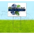 thumbnail image 1 of Blueberries (18" x 24") Yard Sign, Includes Metal Step Stake, 1 of 6