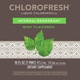 thumbnail image 5 of Nature's Way Chlorofresh, Liquid Chlorophyll Natural Mint, 5 of 10